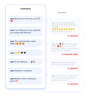 BIN-comment-examples