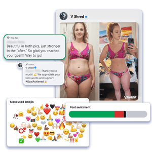 vshred4-insights-(1) (1)